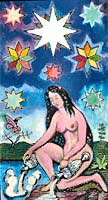 The Star Tarot Card